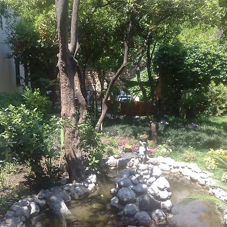 The Ninova Отель 2*